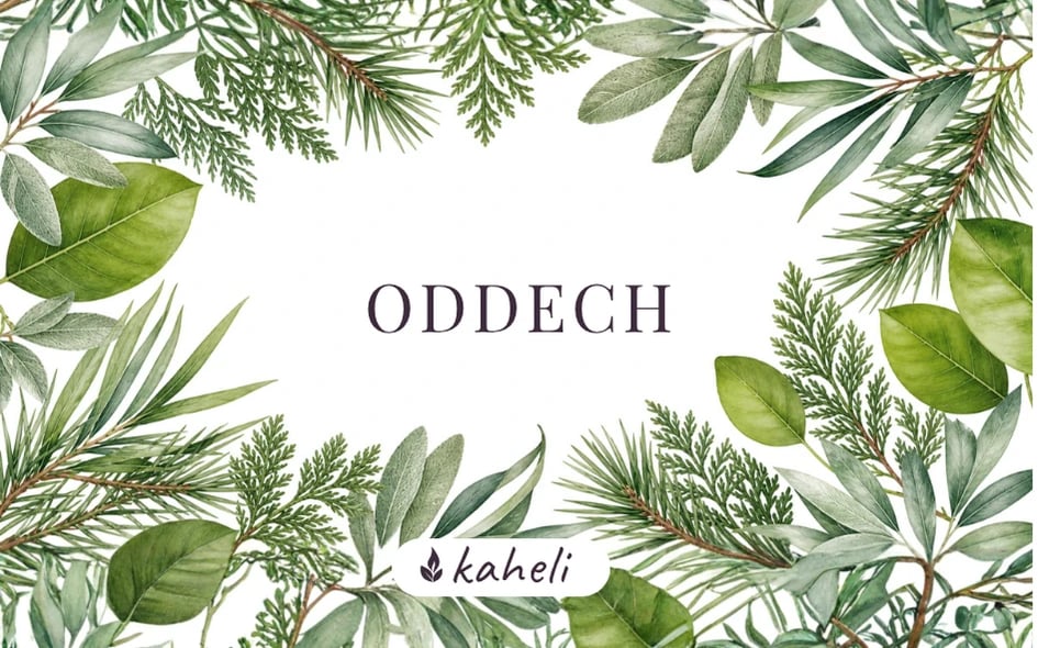 Oddech